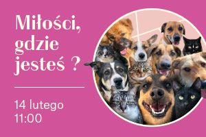 Madison Galeria Handlowa Gdańsk