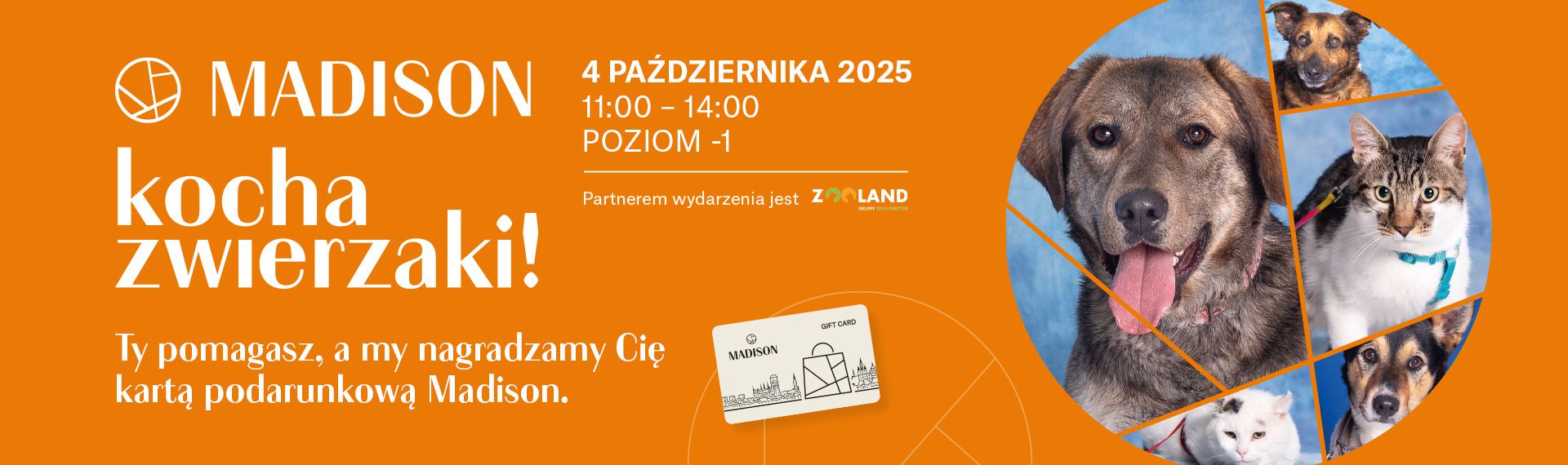 Madison Galeria Handlowa Gdańsk Zwierzaki Schronisko Promyk