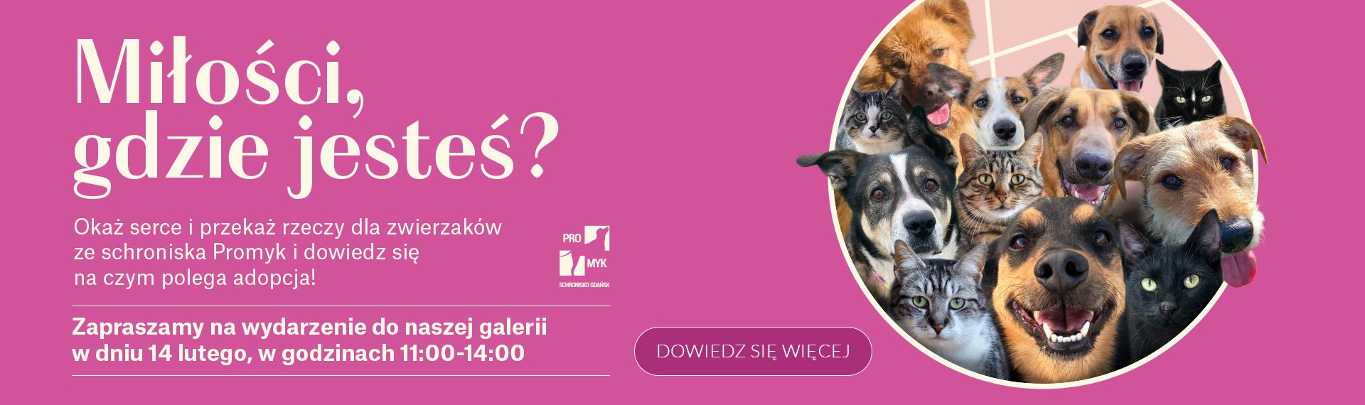 Galeria Handlowa Madison Gdańsk Miłości gdzie jesteś